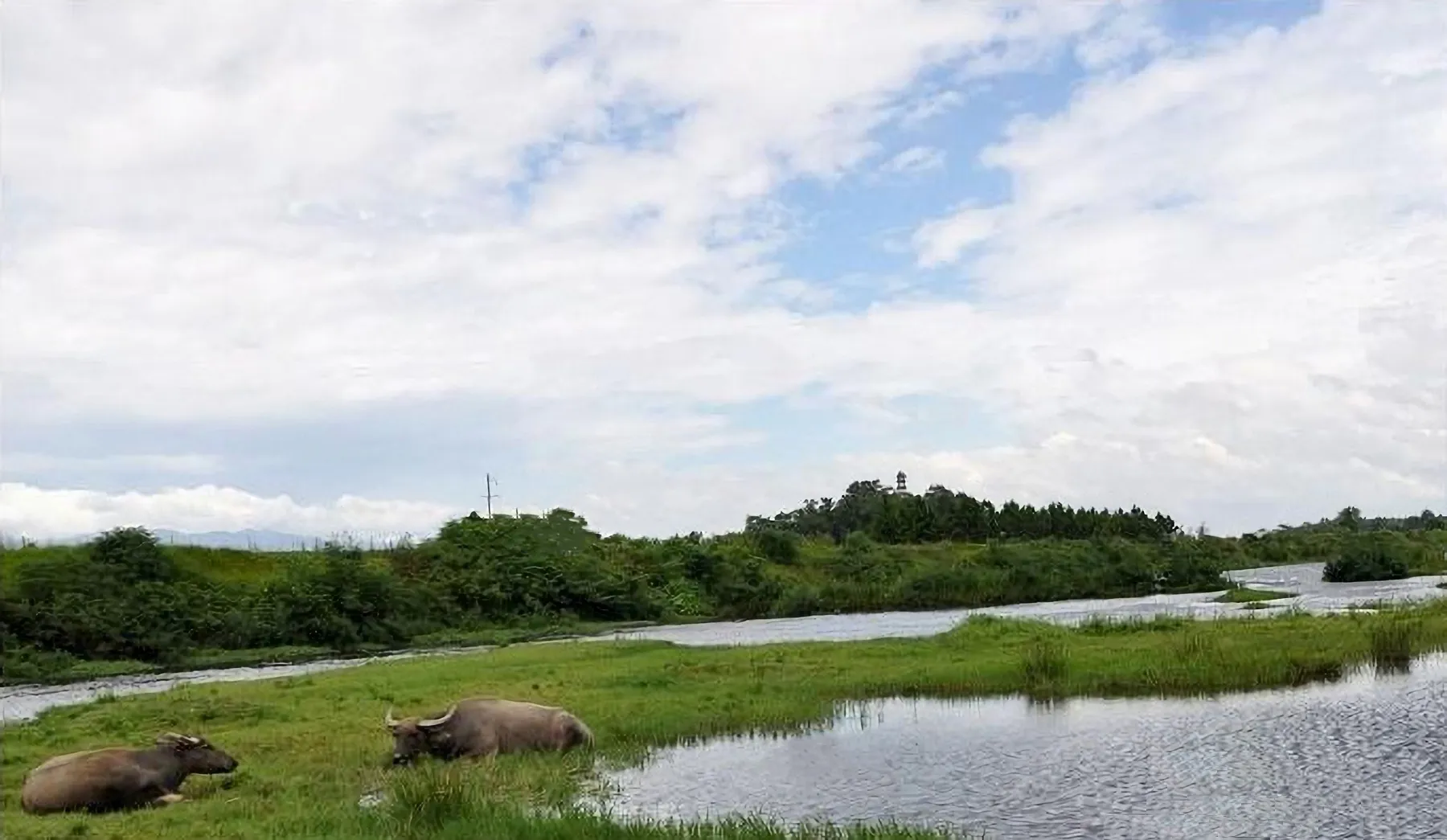 白沙溪风景照